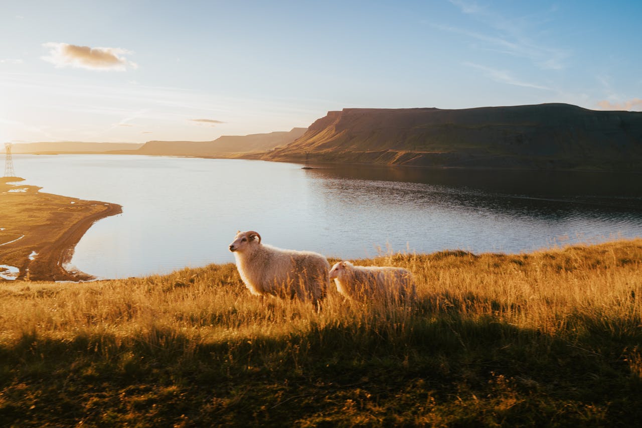 Iceland
